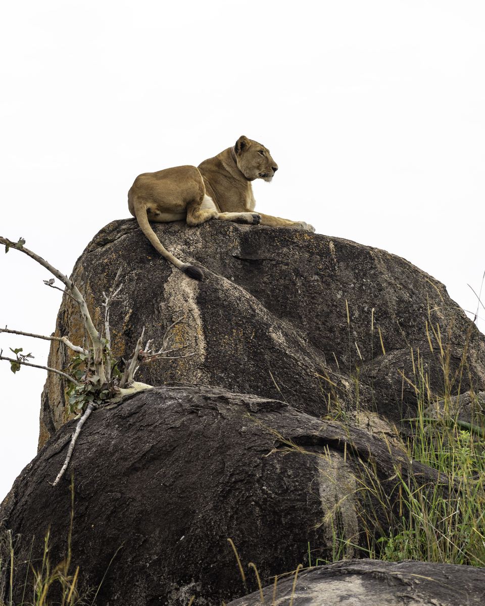 Day Game Drive