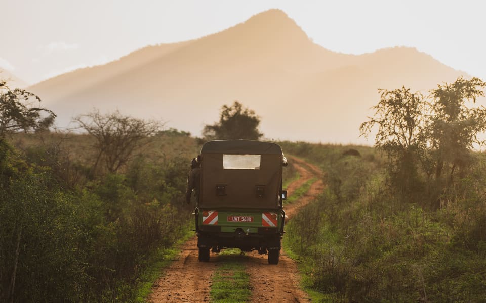 Day Game Drive