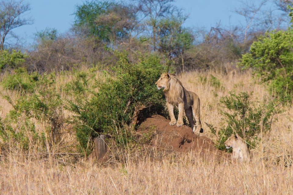 Kidepo Valley National Park