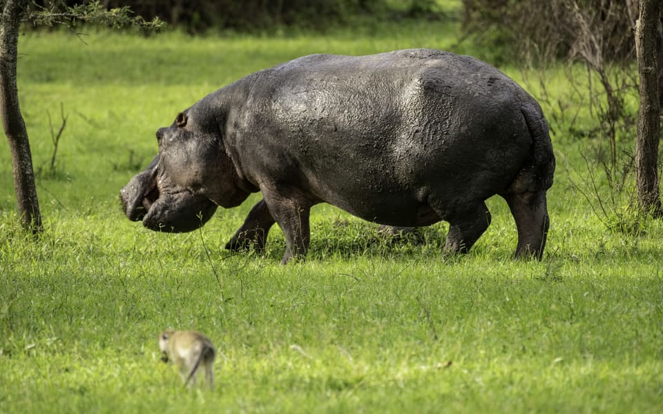Lake Mburo National Park