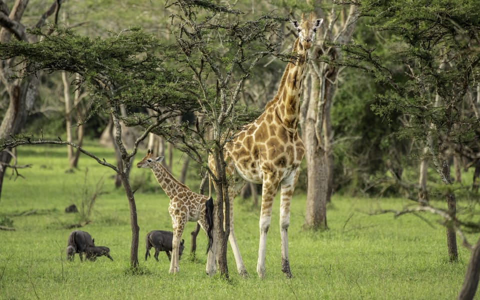Lake Mburo National Park
