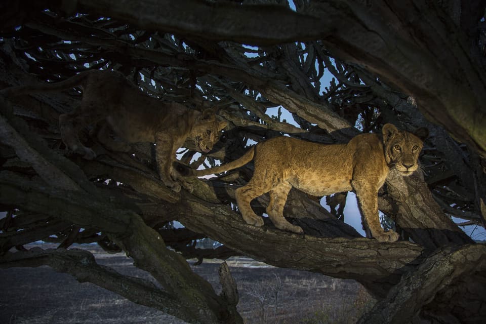 Queen Elizabeth National Park