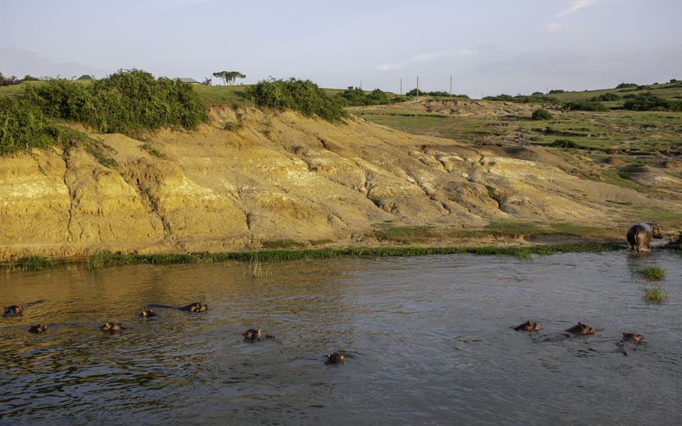 Queen Elizabeth National Park