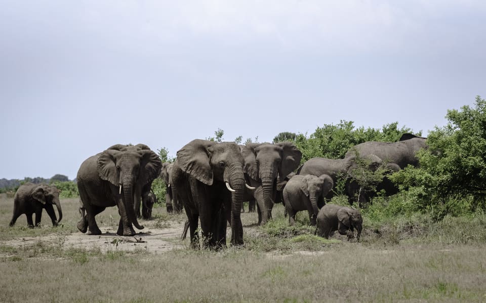 Queen Elizabeth National Park