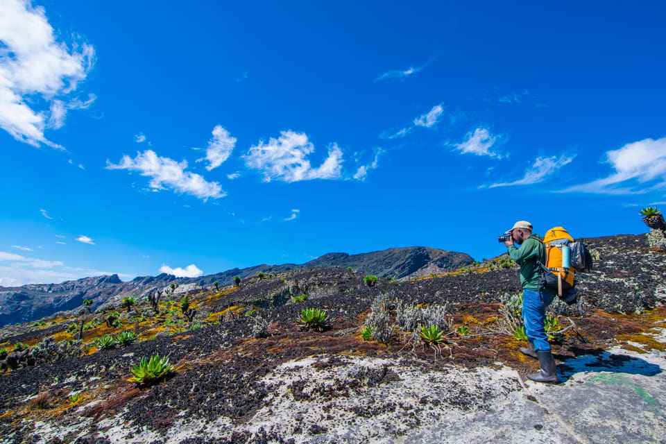 Rwenzori Mountains National Park