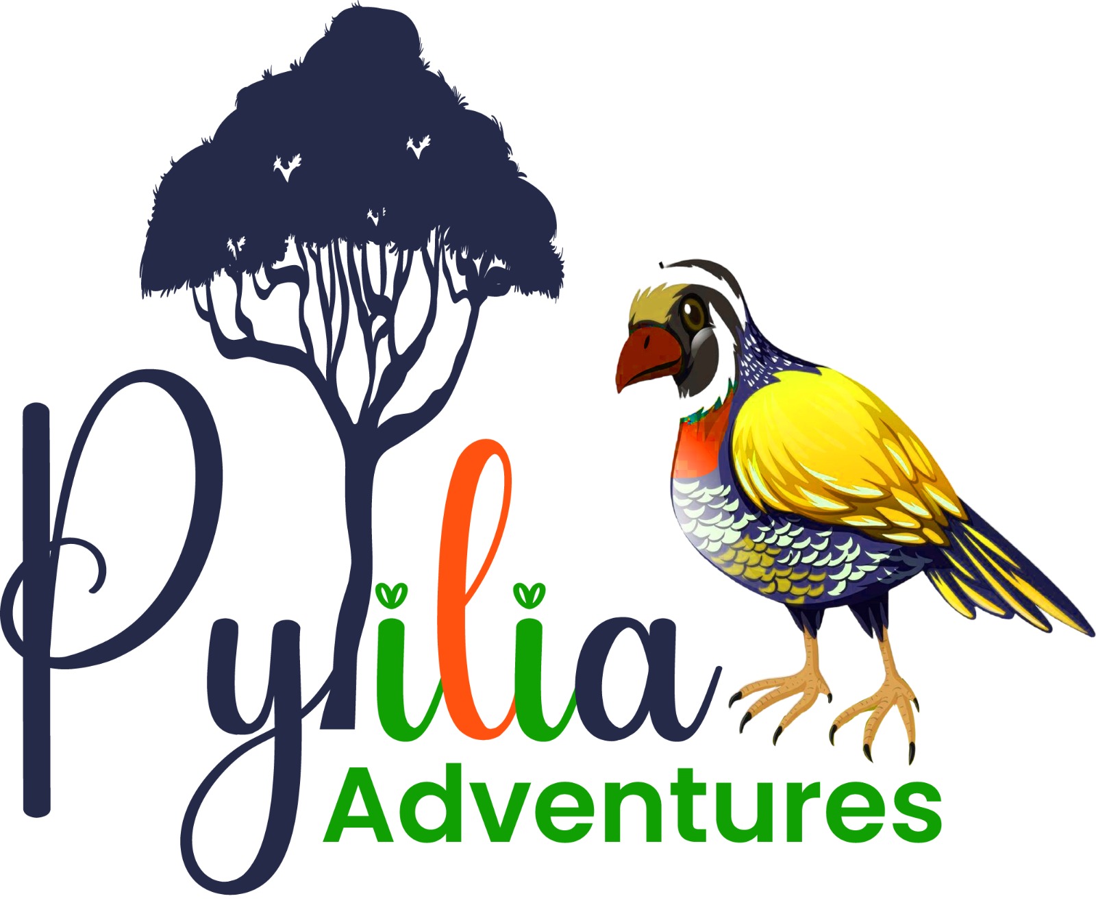 Pylilia Adventures